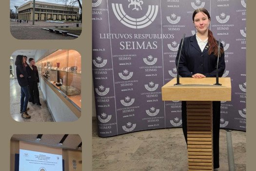 Nacionalinis konkursas ,,Lietuvos istorijos žinovas“