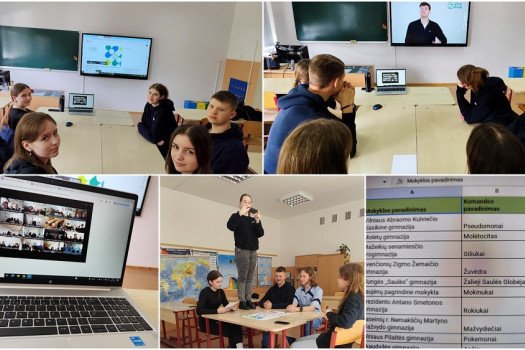 Vėl „Žalioji Odisėja“, vėl finalas...