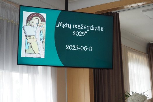 Metų mažvydietis 2025