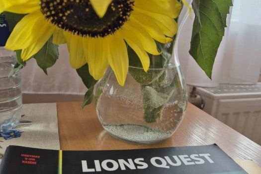 Socialinio ir emocinio ugdymo programos LIONS QUEST mokymai