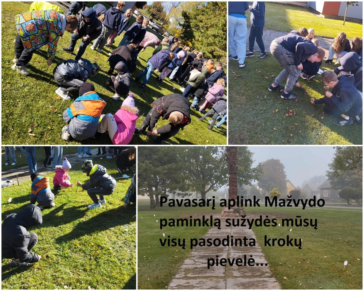 Akcija „Krokų pievelė“