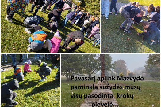 Akcija „Krokų pievelė“