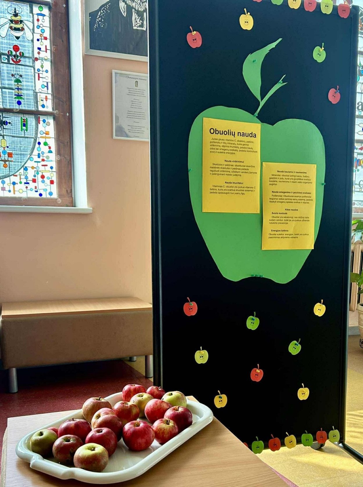 Tvarumo įpročius ugdantis projektas