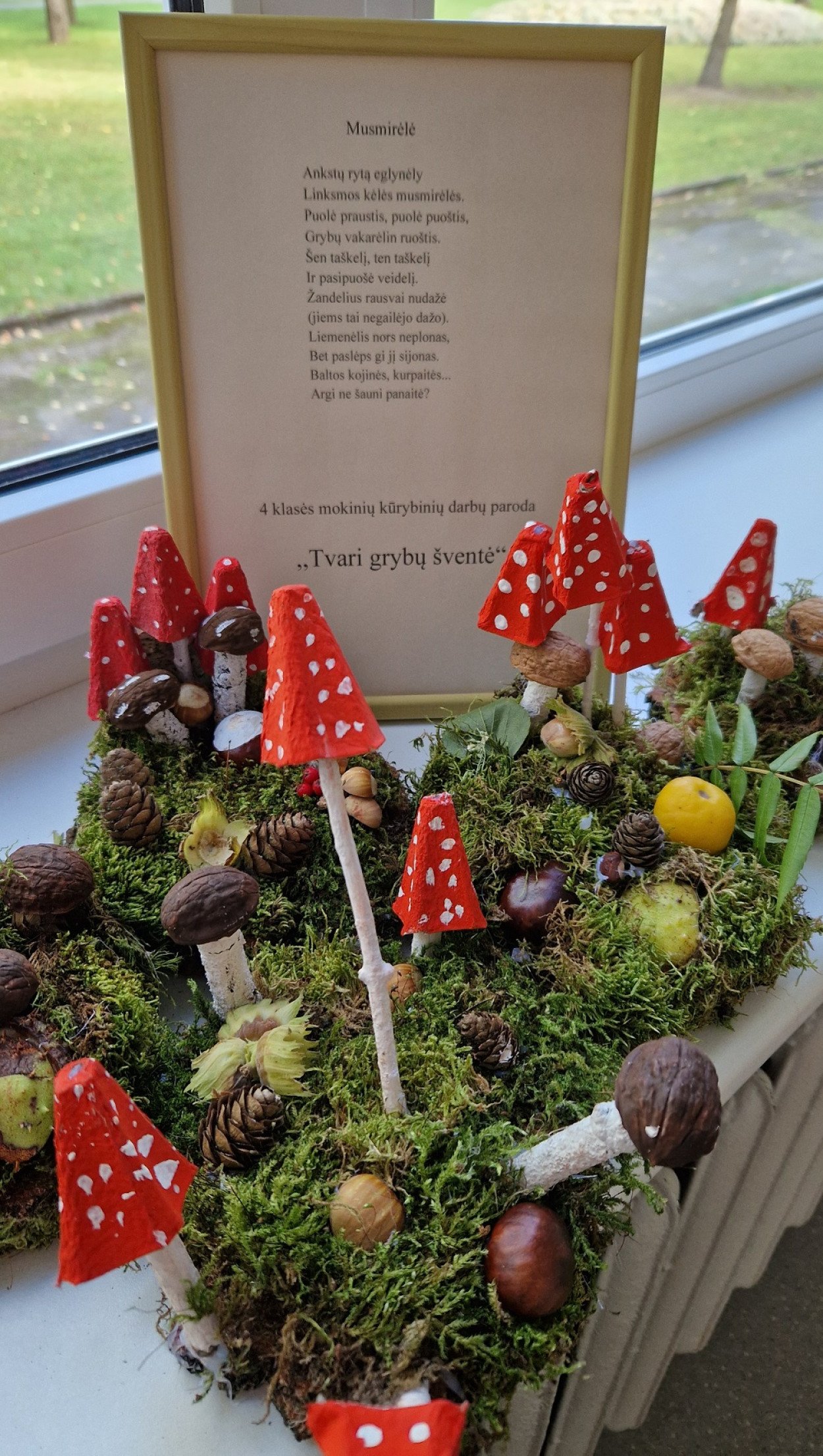 „Tvari grybų šventė“