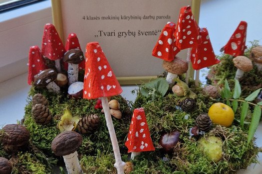 „Tvari grybų šventė“