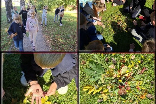 „Tvari mokykla“ Integruota gamtamokslio ugdymo ir technologijų pamoka