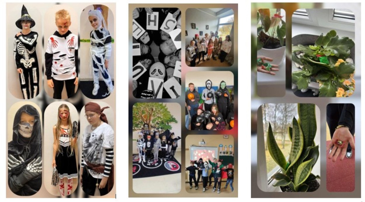 Helovyno nuotaikos gimnazijoje