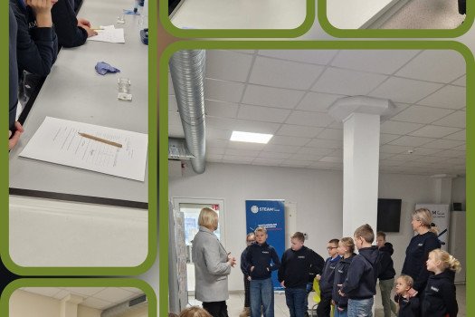 Tvarumo tyrinėjimas