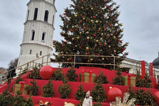 Vėl Nemakščių Martyno Mažvydo gimnazijos atstovai lankėsi LR Prezidentūroje