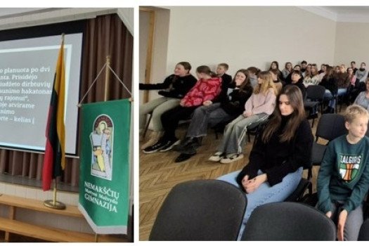 Visuotinis mokinių s...