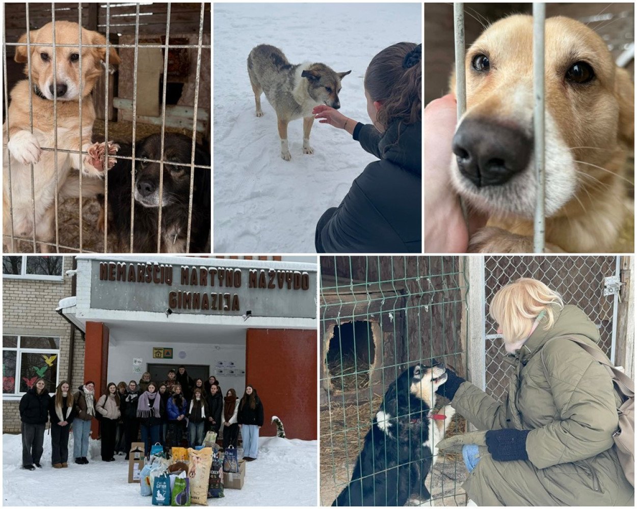 MEILĖ TELPA DUBENĖLY...