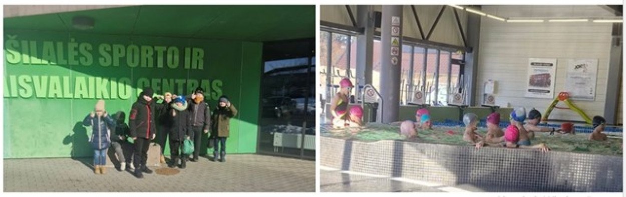 Plaukimo programa an...