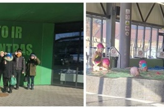 Plaukimo programa an...