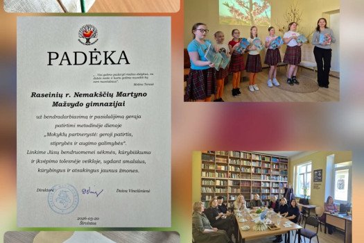 Mokyklų partnerystė:...