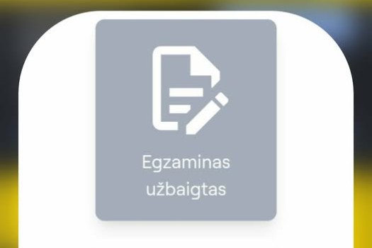 Pilietiškumo egzamin...