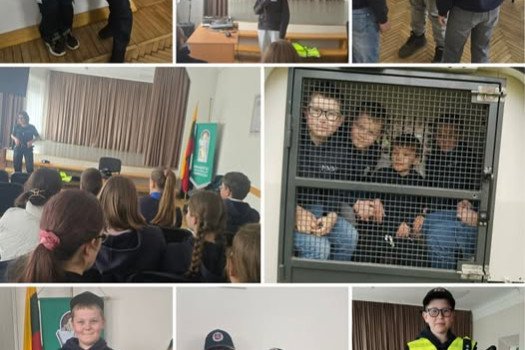 Pažintis su policijo...